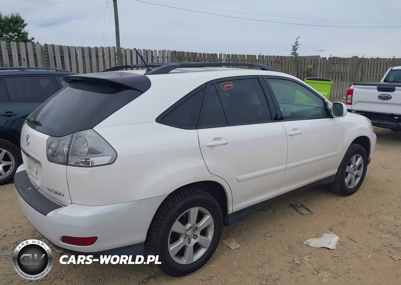 2004 Lexus Rx 330 VIN:JTJHA31U340068458 - 4