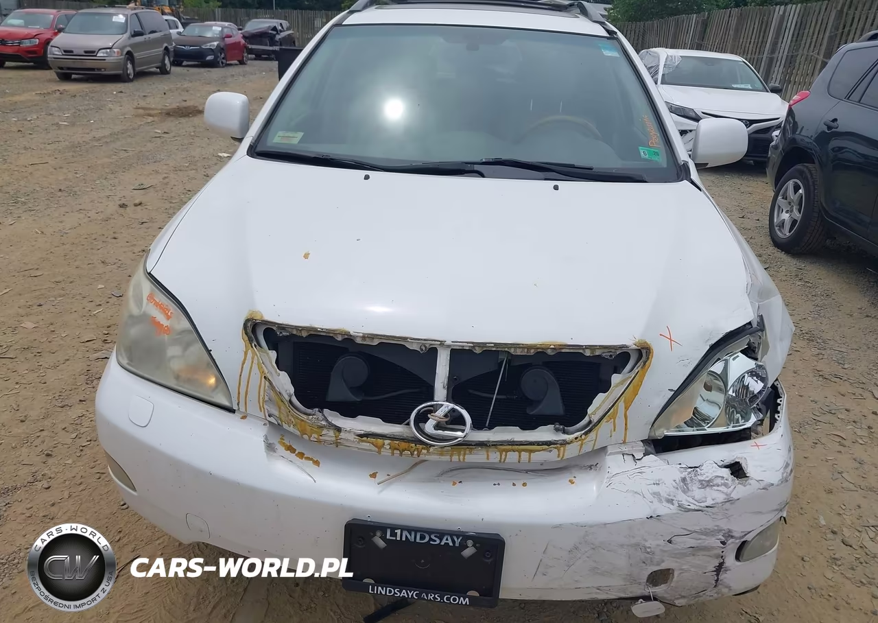 2004 Lexus Rx 330 VIN:JTJHA31U340068458 - 6