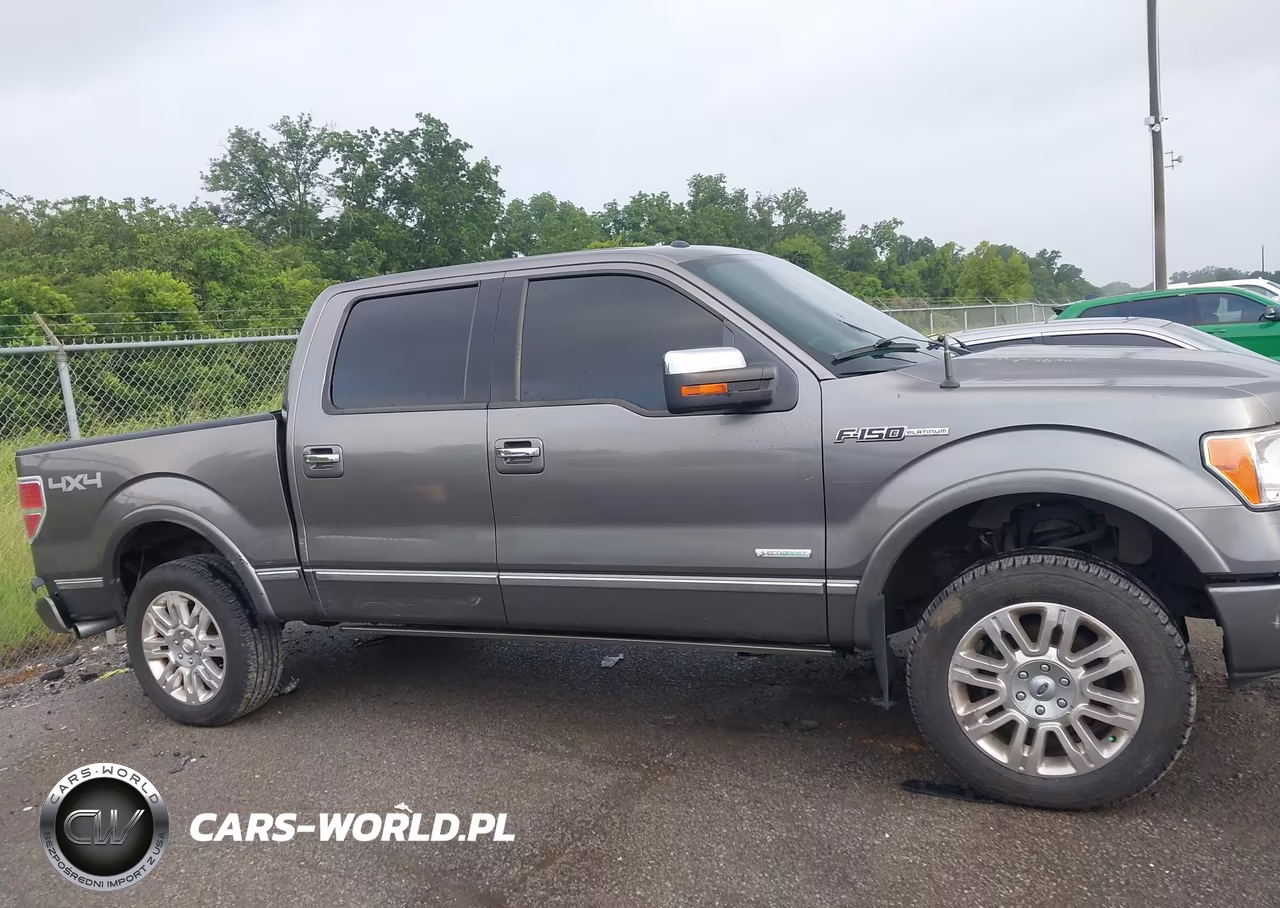 2012 Ford F-150 Platinum VIN:1FTFW1ET4CFC34306 - 13
