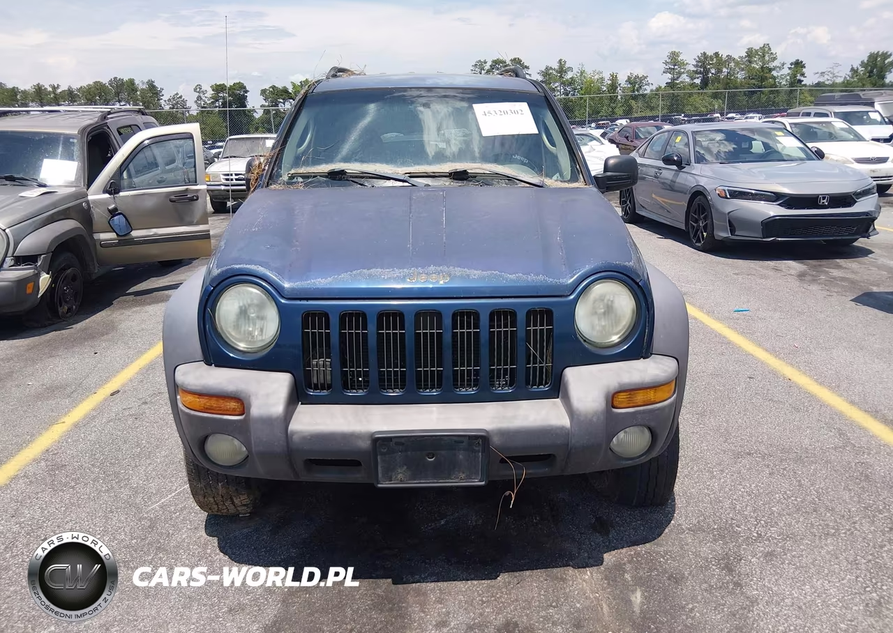 2004 Jeep Liberty Sport VIN:1J4GK48K14W230536 - 6