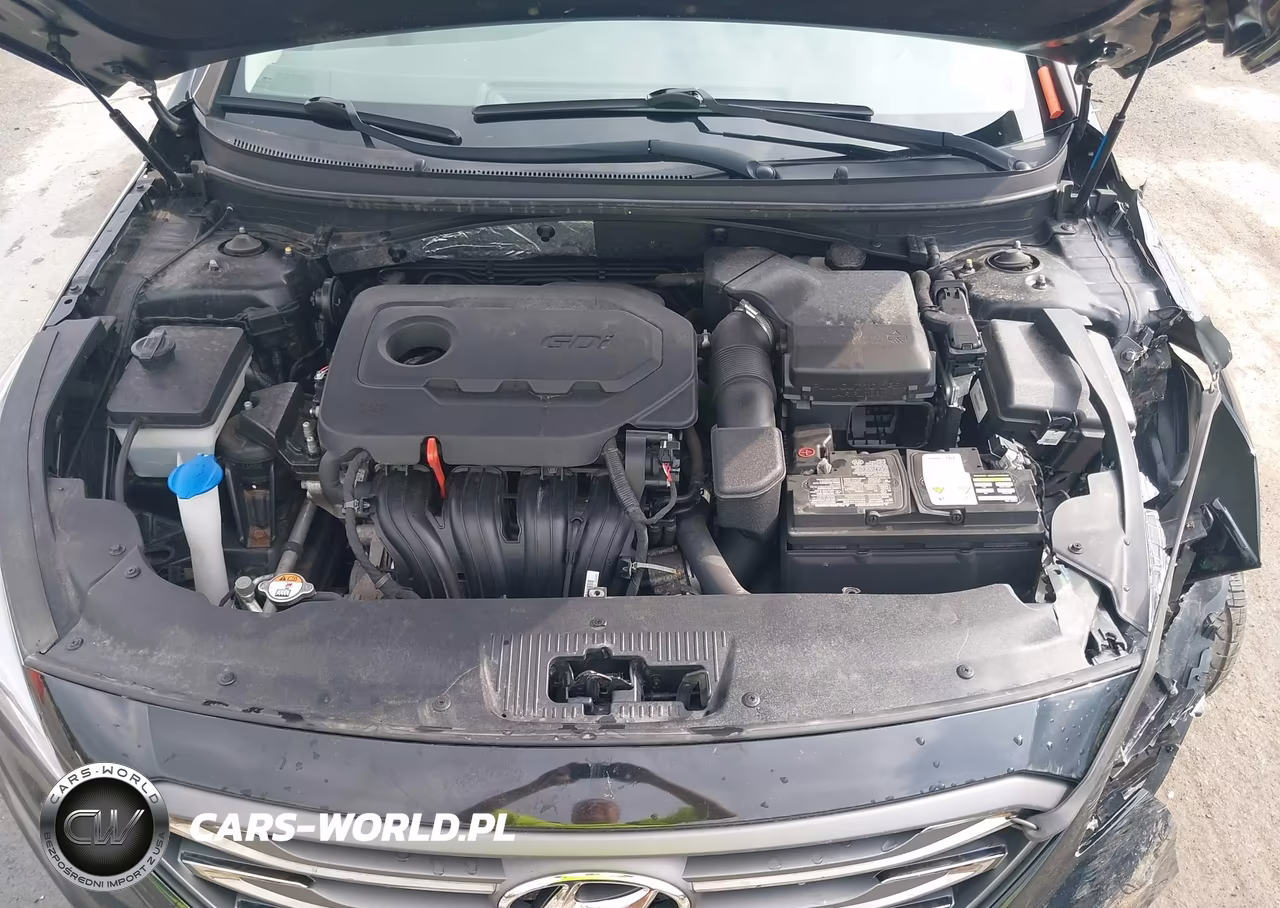 2016 Hyundai Sonata Limited VIN:5NPE34AF9GH323175 - 10