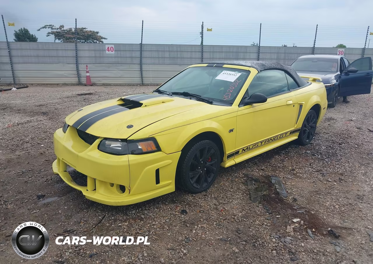 2002 Ford Mustang Gt-Gt Premium VIN:1FAFP45XX2F111454 - 2