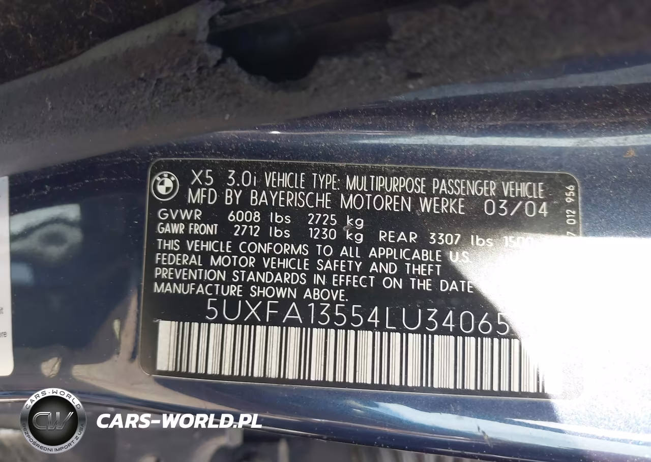 2004 BMW X5 3.0I VIN:5UXFA13554LU34065 - 9