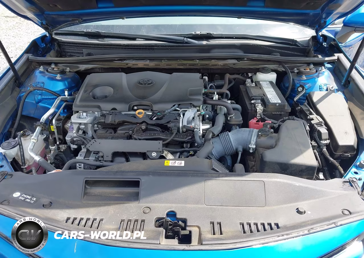 2019 Toyota Camry Le VIN:4T1B11HK0KU290846 - 10