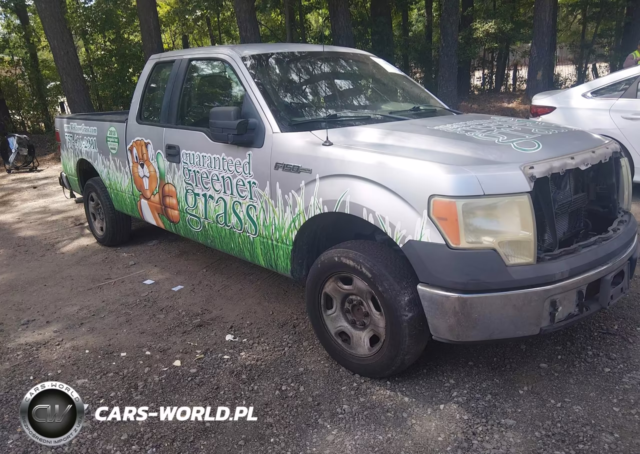 2009 Ford F-150 Stx-Xl