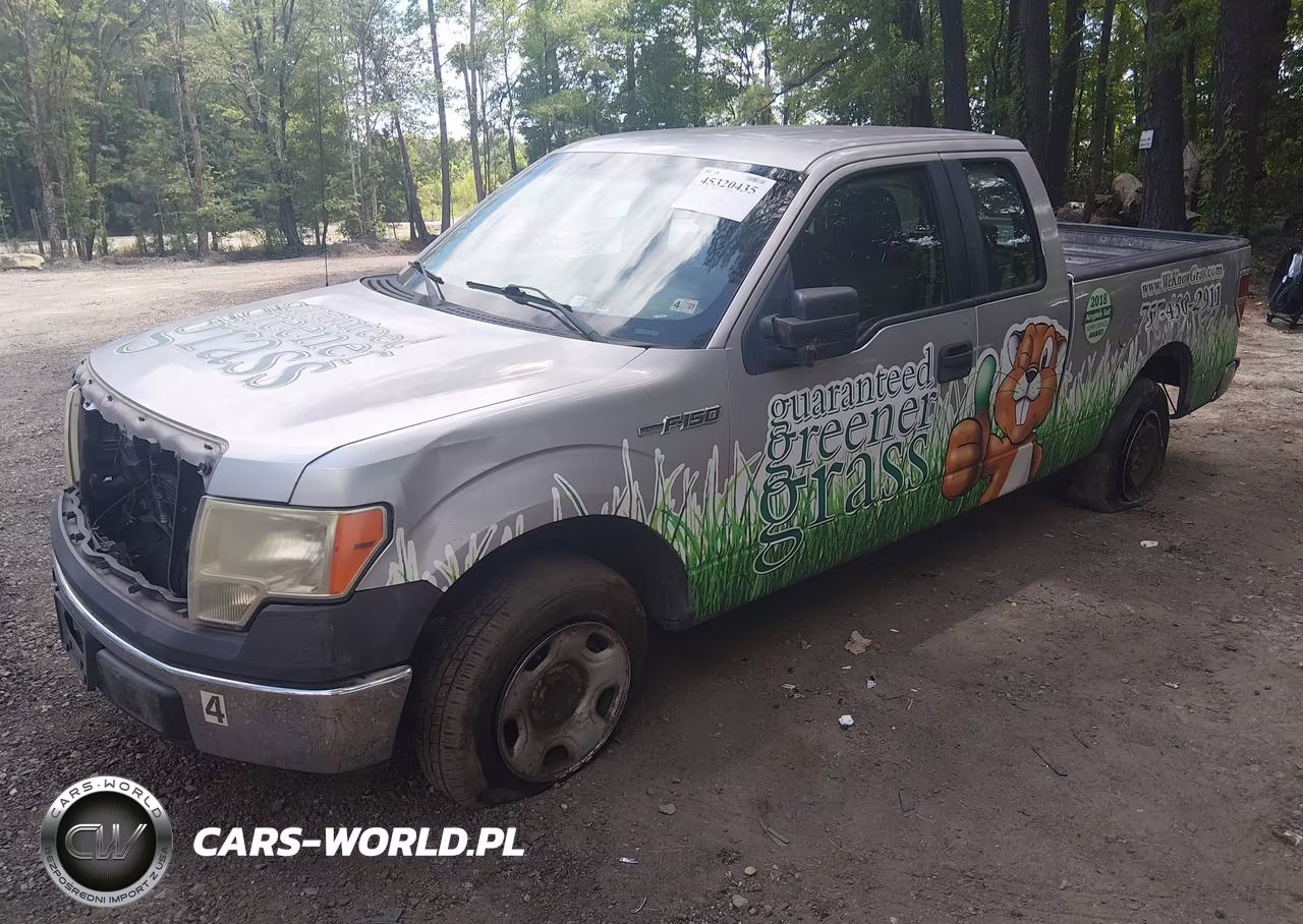2009 Ford F-150 Stx-Xl VIN:1FTRX12W09FB47066 - 2