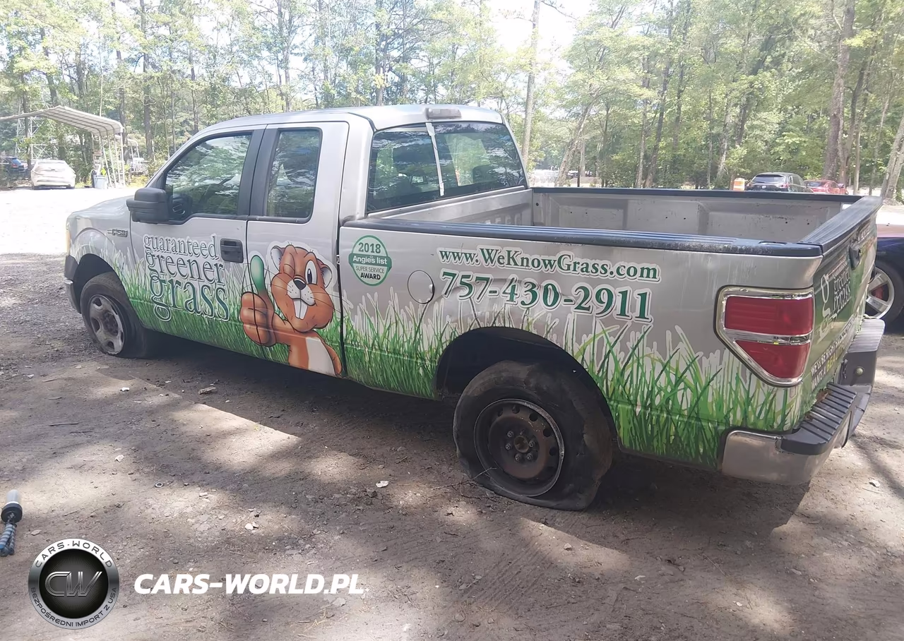 2009 Ford F-150 Stx-Xl VIN:1FTRX12W09FB47066 - 3