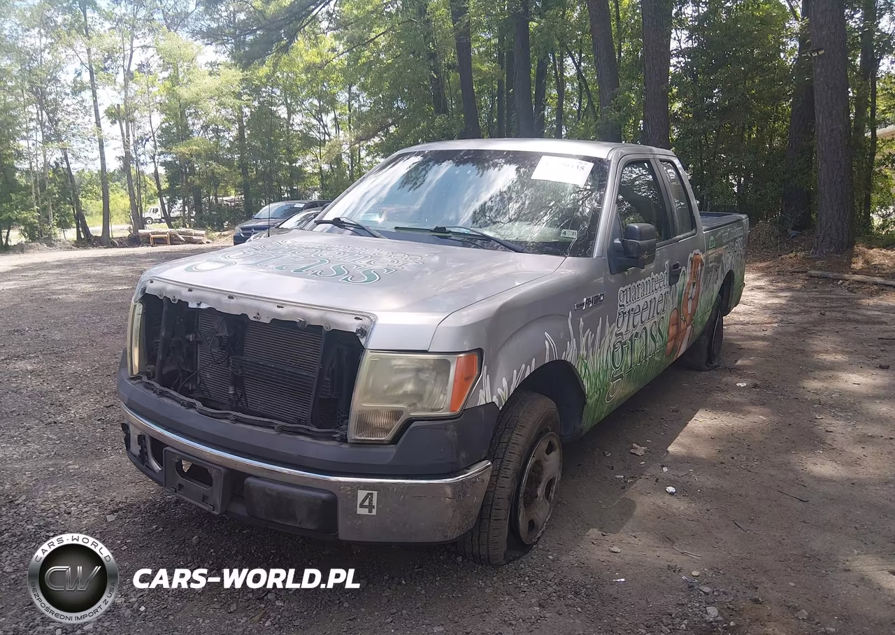 2009 Ford F-150 Stx-Xl VIN:1FTRX12W09FB47066 - 6