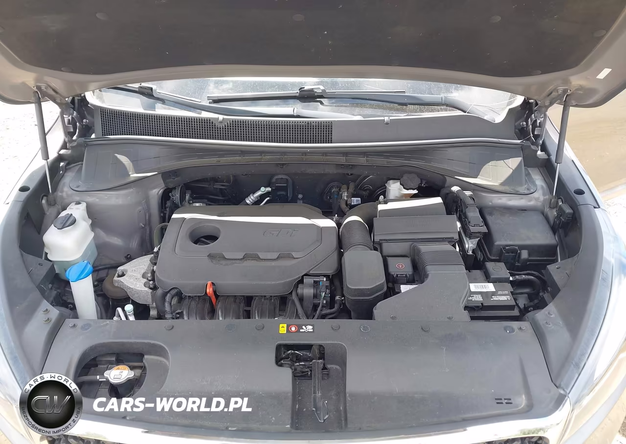 2018 Kia Sorento 2.4L L VIN:5XYPG4A36JG408685 - 10