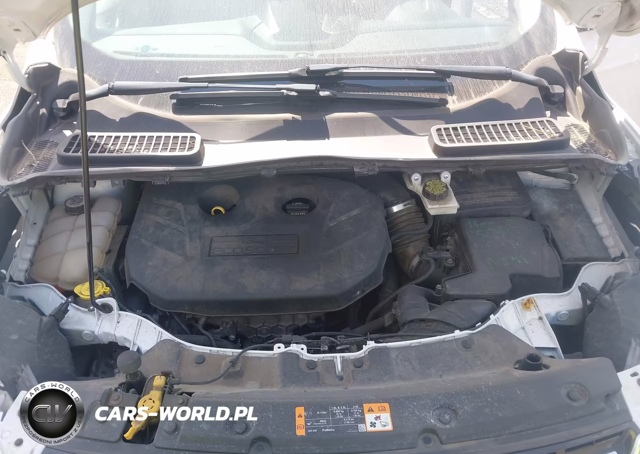 2013 Ford Escape Sel VIN:1FMCU9H94DUC77138 - 10
