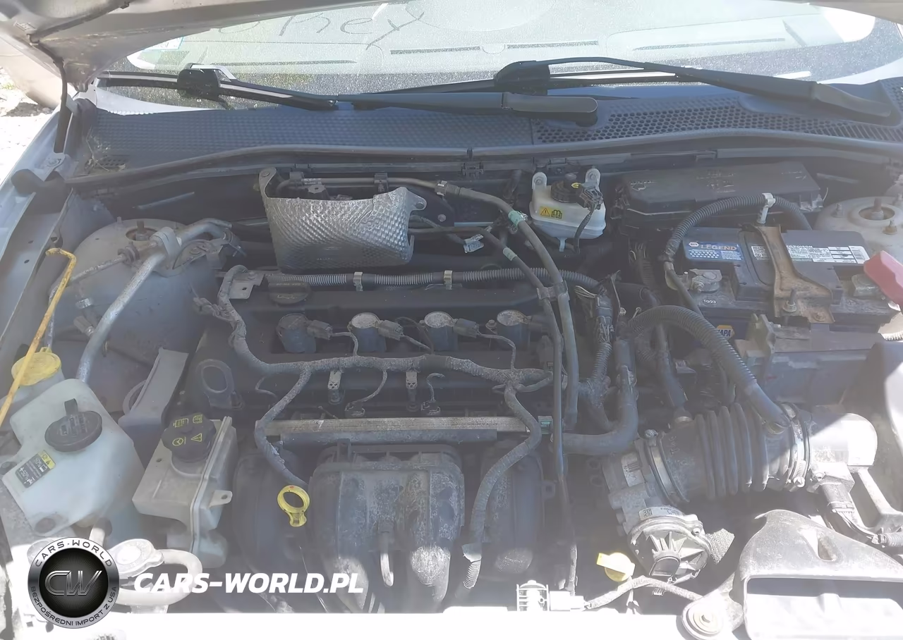 2010 Ford Focus Ses VIN:1FAHP3GN7AW184858 - 10
