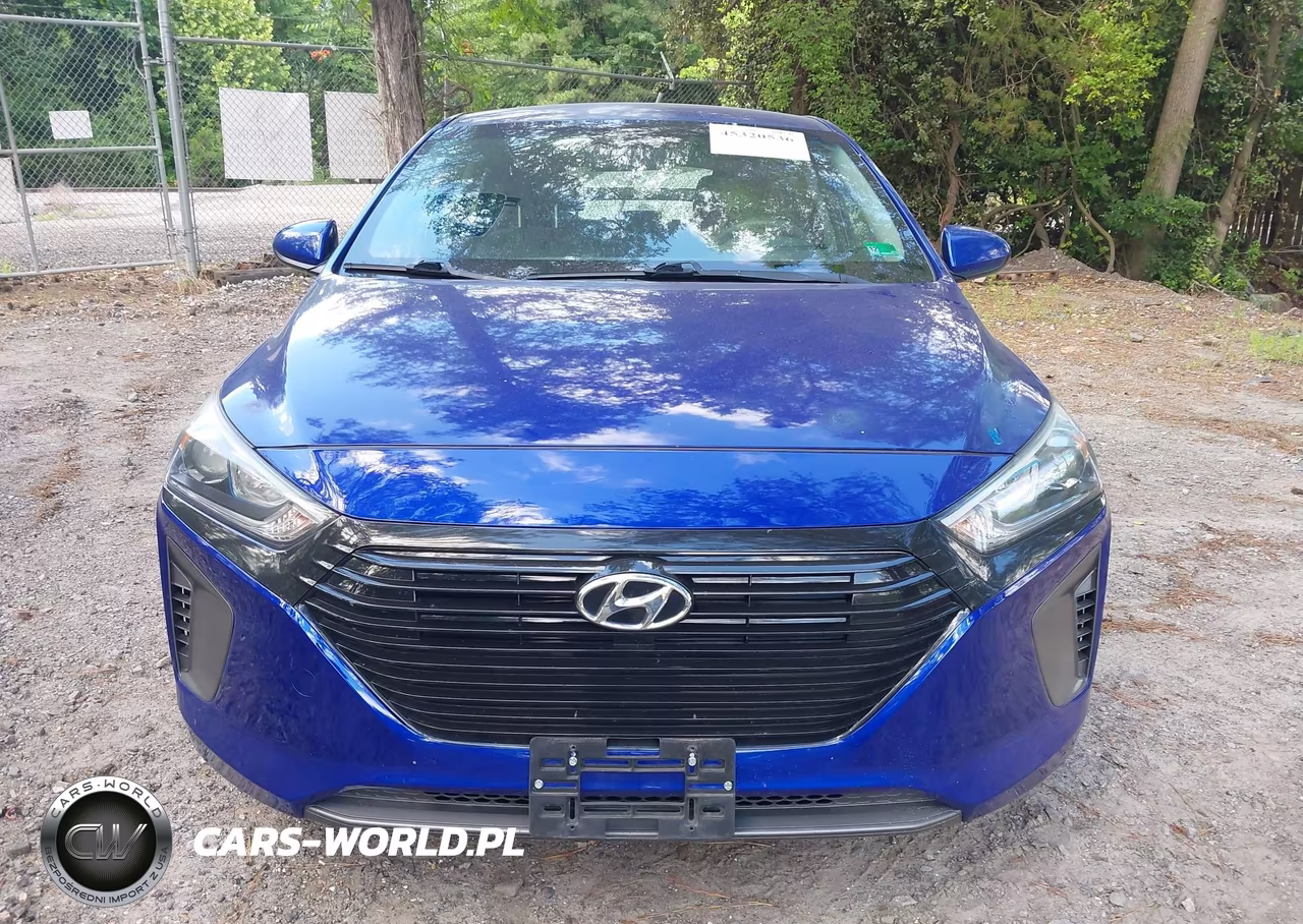 2019 Hyundai Ioniq Hybrid Blue VIN:KMHC65LC5KU178931 - 12