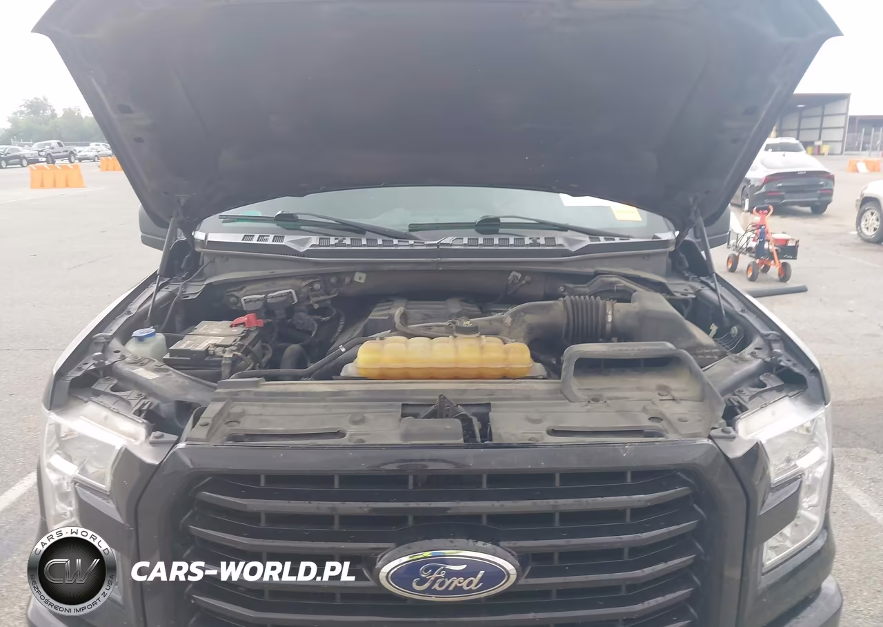 2017 Ford F-150 Xl VIN:1FTEX1EP8HFB88109 - 10