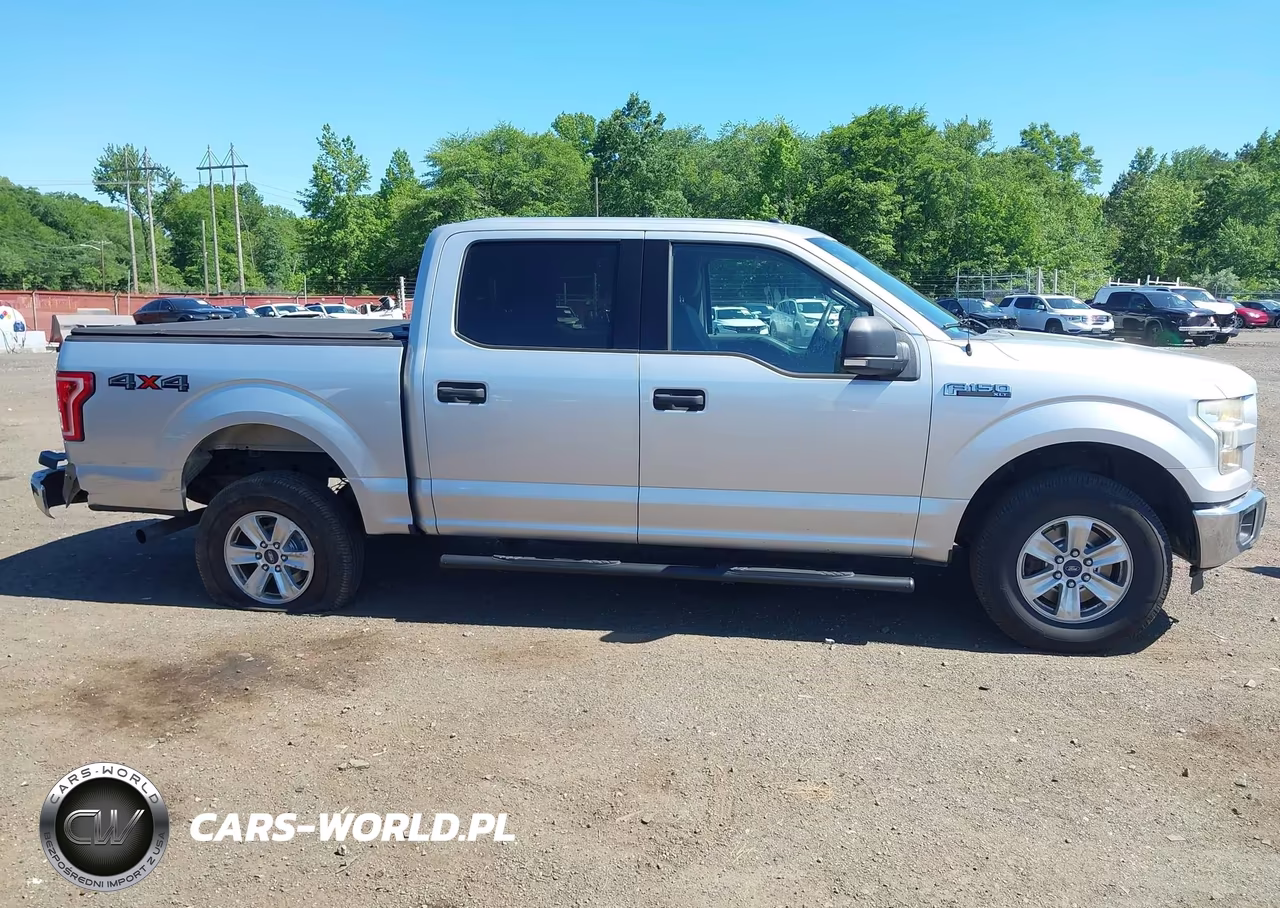 2015 Ford F-150 Xlt VIN:1FTEW1EF8FFB36812 - 13
