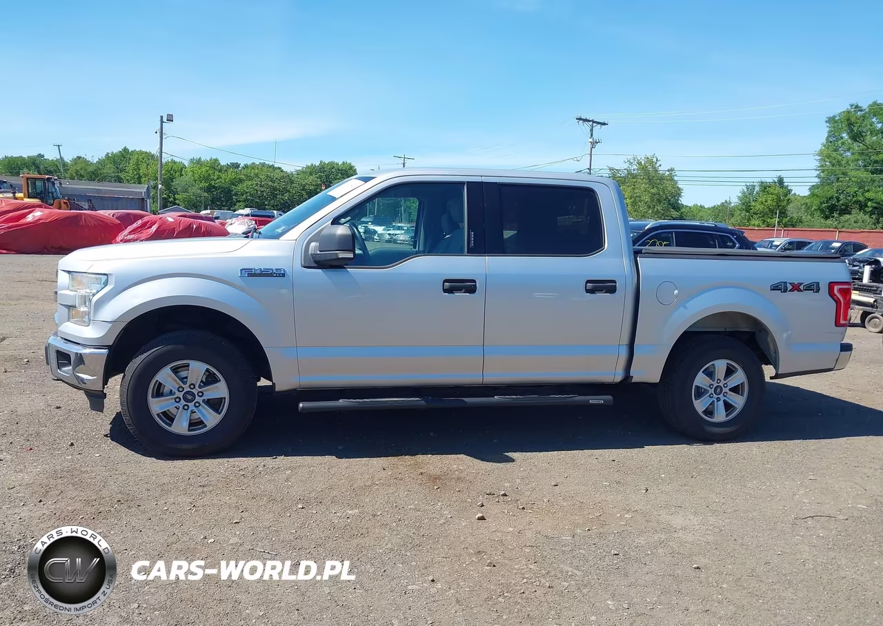 2015 Ford F-150 Xlt VIN:1FTEW1EF8FFB36812 - 14