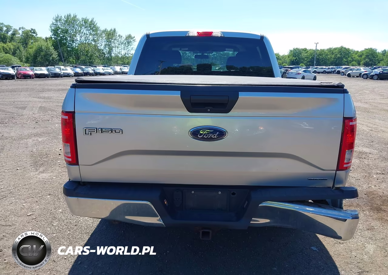 2015 Ford F-150 Xlt VIN:1FTEW1EF8FFB36812 - 16