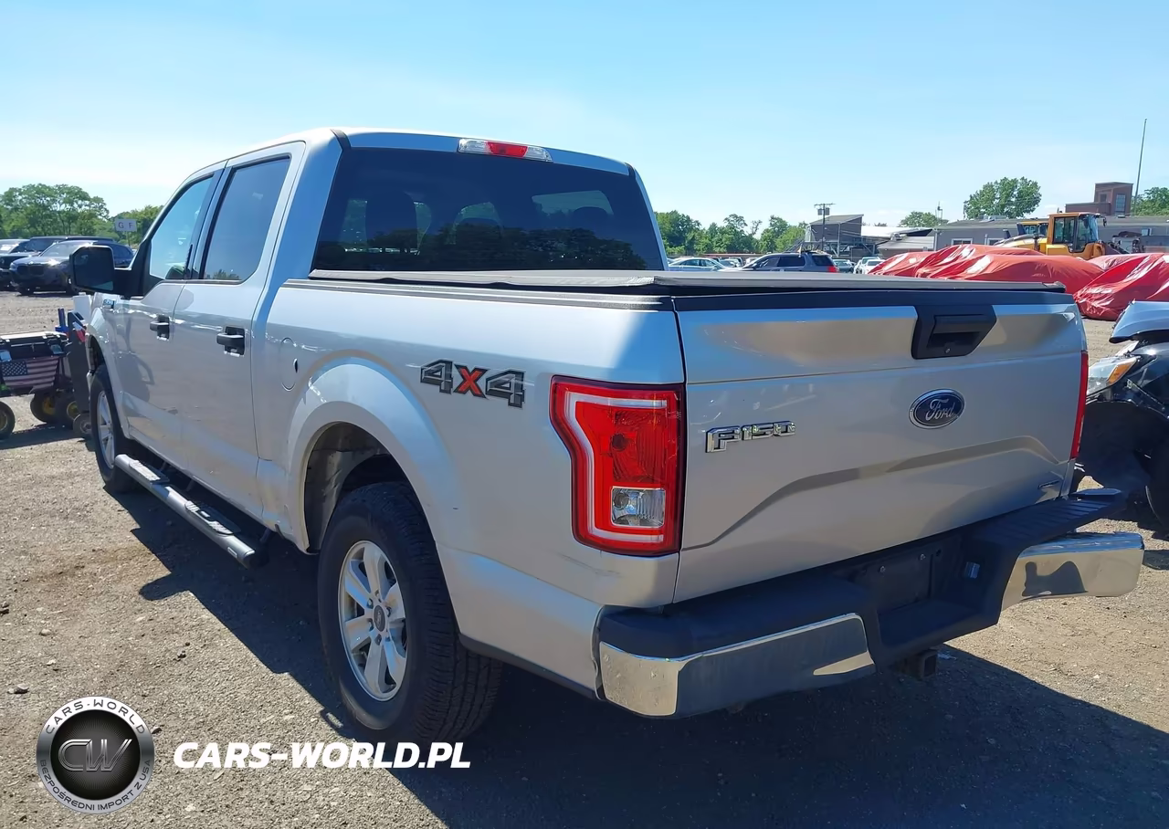 2015 Ford F-150 Xlt VIN:1FTEW1EF8FFB36812 - 17