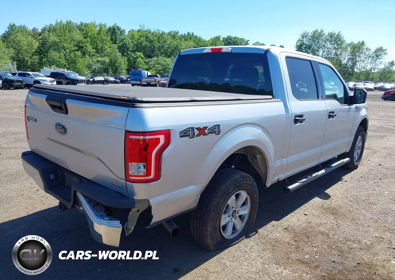 2015 Ford F-150 Xlt VIN:1FTEW1EF8FFB36812 - 6