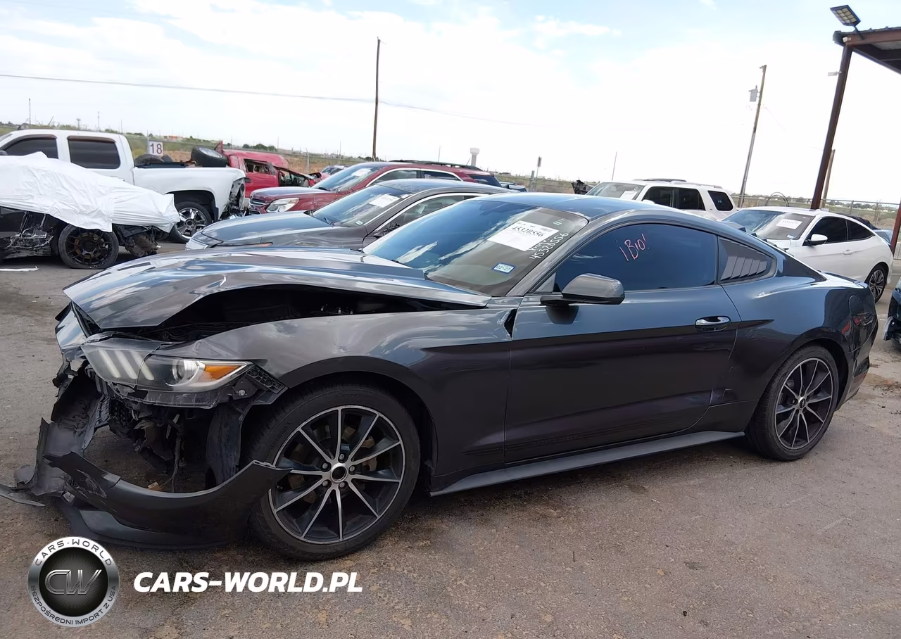 2016 Ford Mustang Ecoboost VIN:1FA6P8TH1G5206176 - 14