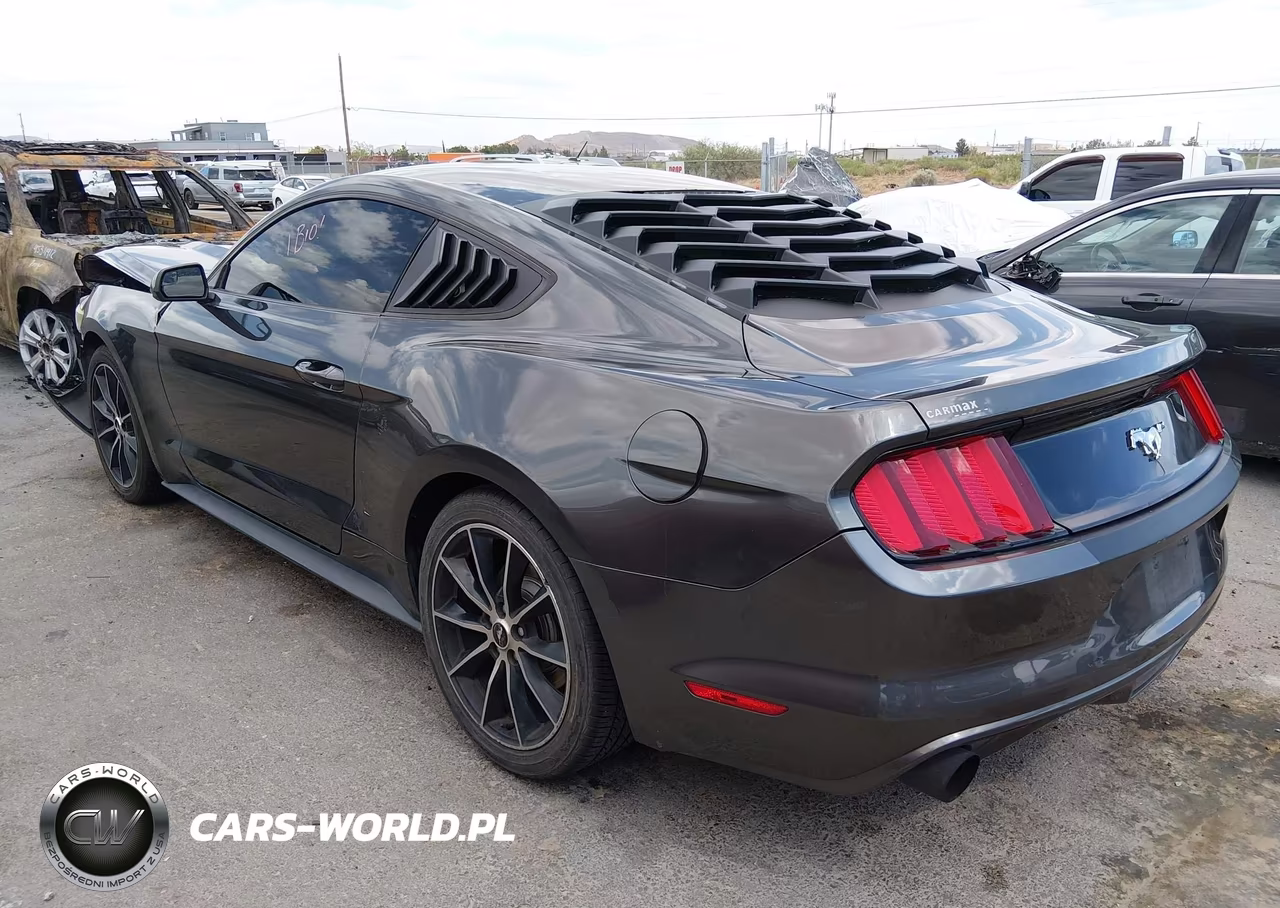2016 Ford Mustang Ecoboost VIN:1FA6P8TH1G5206176 - 3
