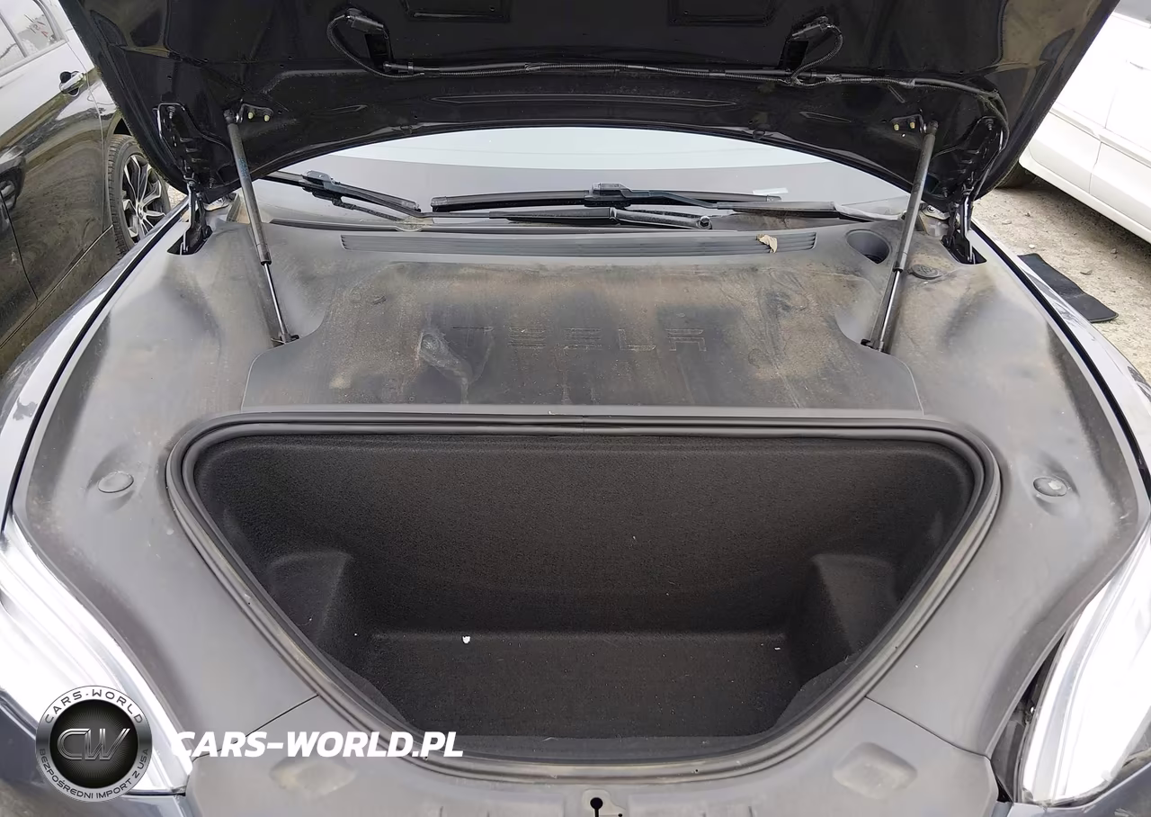 2021 Tesla Model S Long Range Dual Motor All-Wheel Drive-Long Range Plus Dual Motor All-Wheel Drive VIN:5YJSA1E2XMF426985 - 10