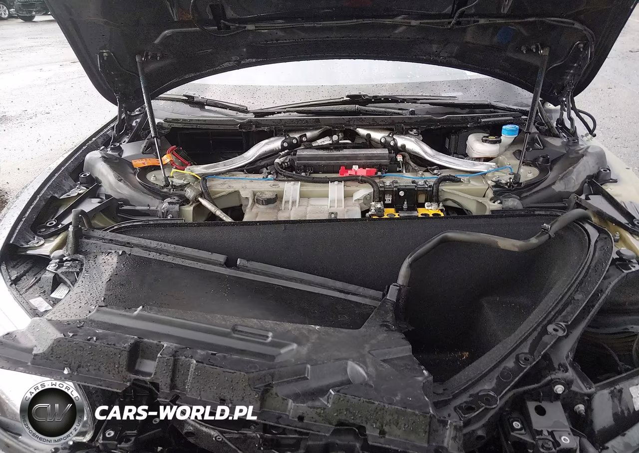 2019 Tesla Model S 100D-Long Range-P100D-Performance VIN:5YJSA1E49KF330781 - 10
