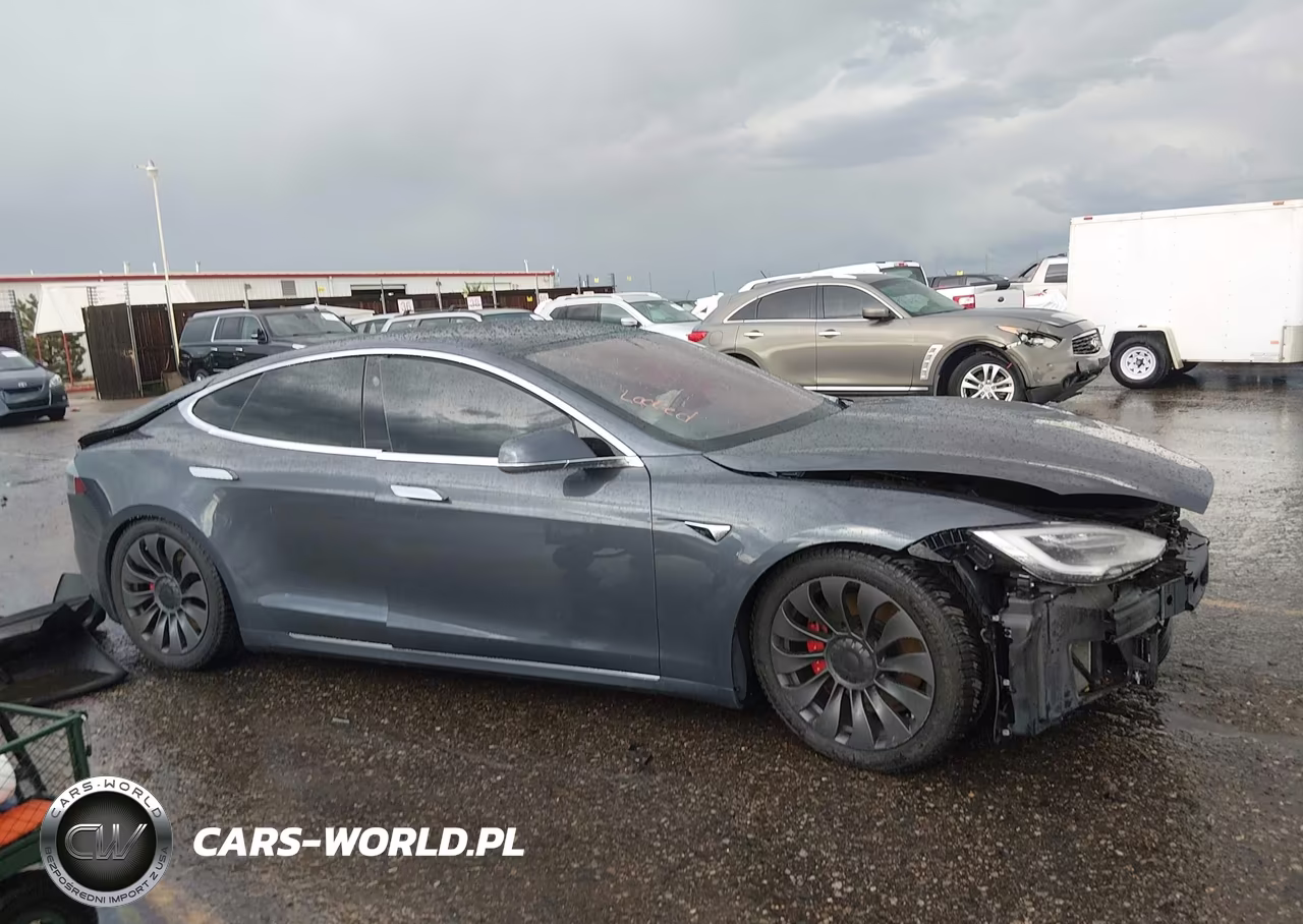 2019 Tesla Model S 100D-Long Range-P100D-Performance VIN:5YJSA1E49KF330781 - 14