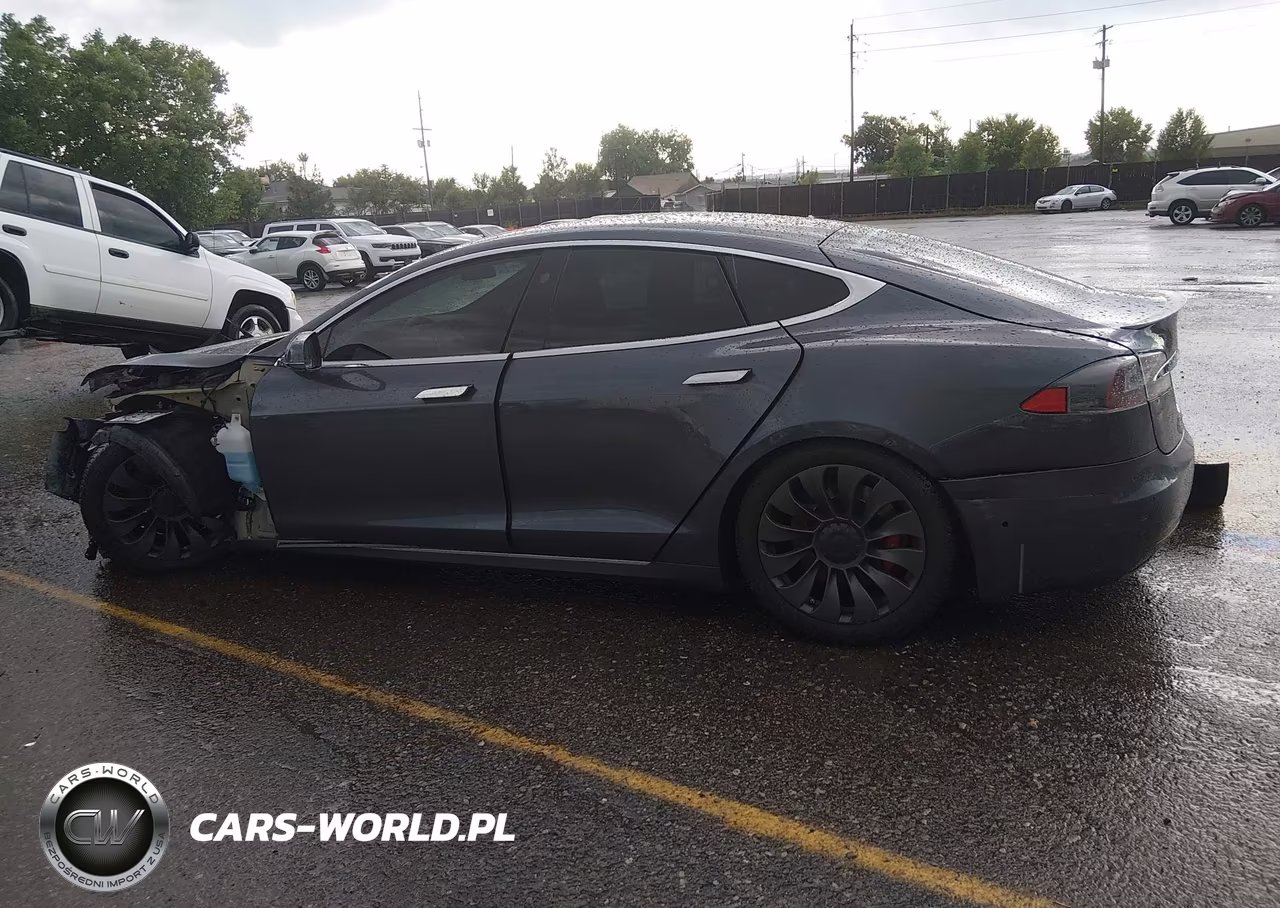 2019 Tesla Model S 100D-Long Range-P100D-Performance VIN:5YJSA1E49KF330781 - 15
