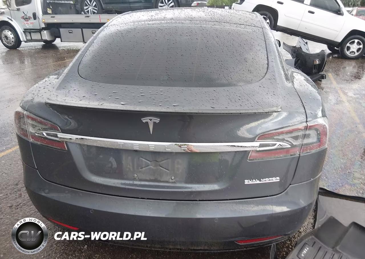 2019 Tesla Model S 100D-Long Range-P100D-Performance VIN:5YJSA1E49KF330781 - 17