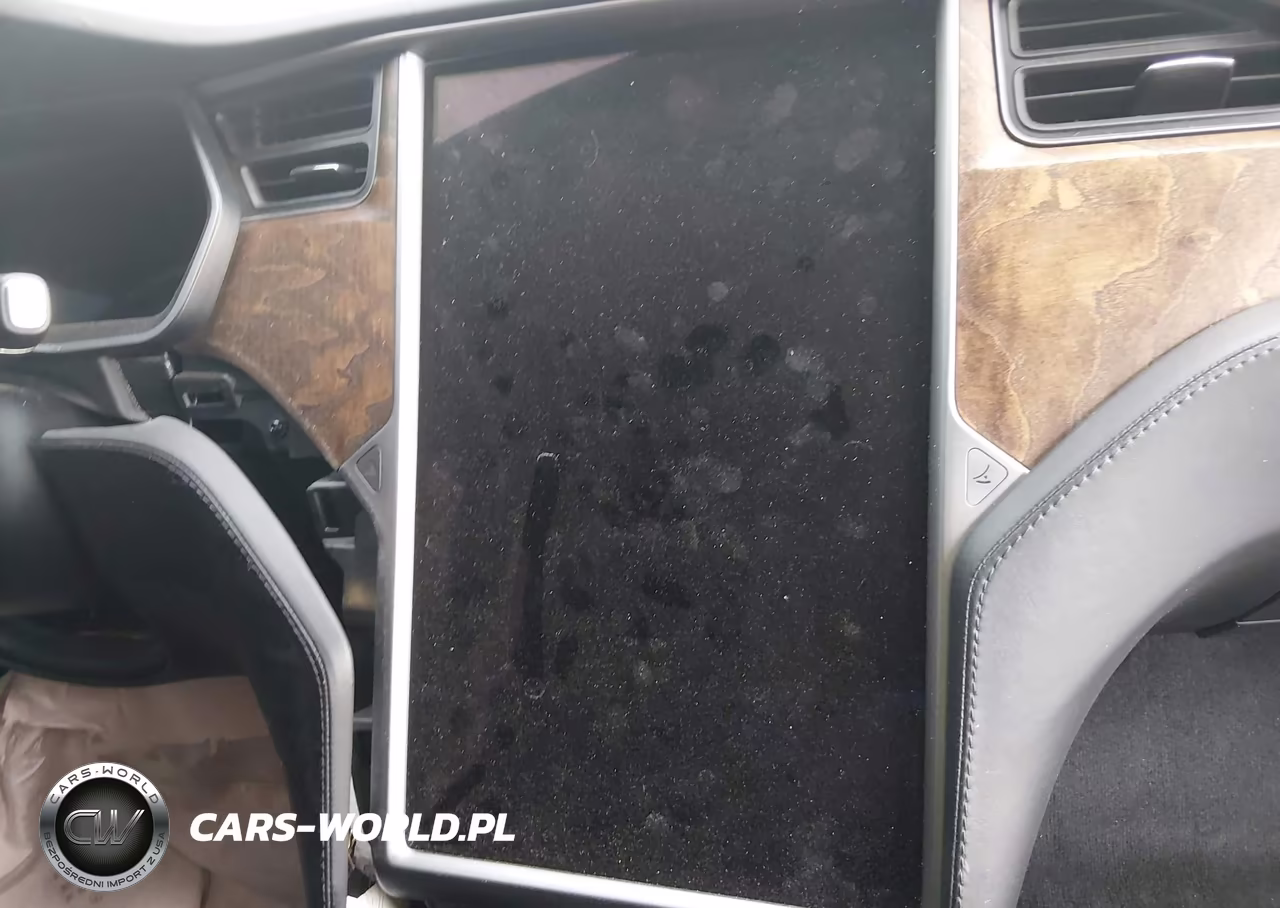 2019 Tesla Model S 100D-Long Range-P100D-Performance VIN:5YJSA1E49KF330781 - 18
