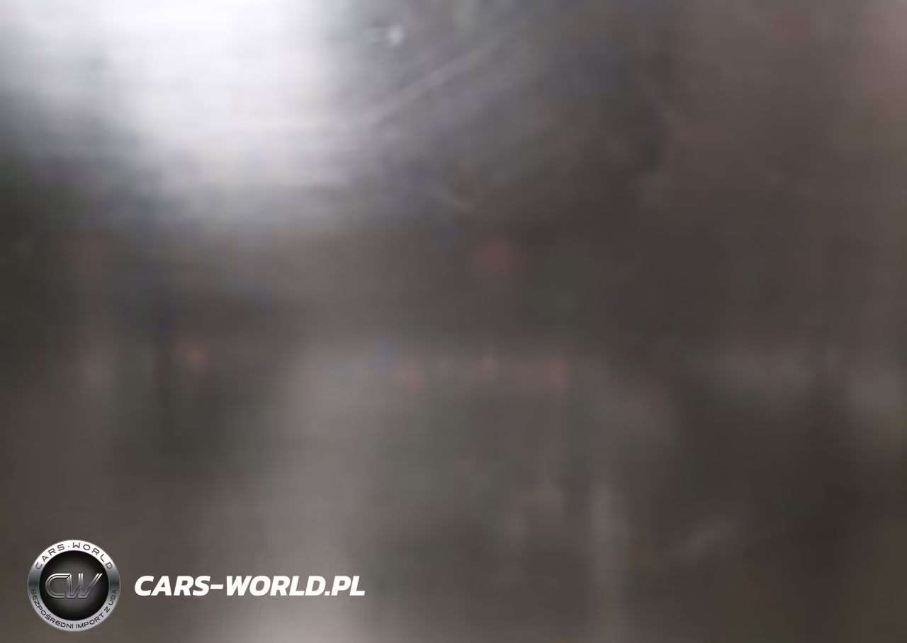 2019 Tesla Model S 100D-Long Range-P100D-Performance VIN:5YJSA1E49KF330781 - 19