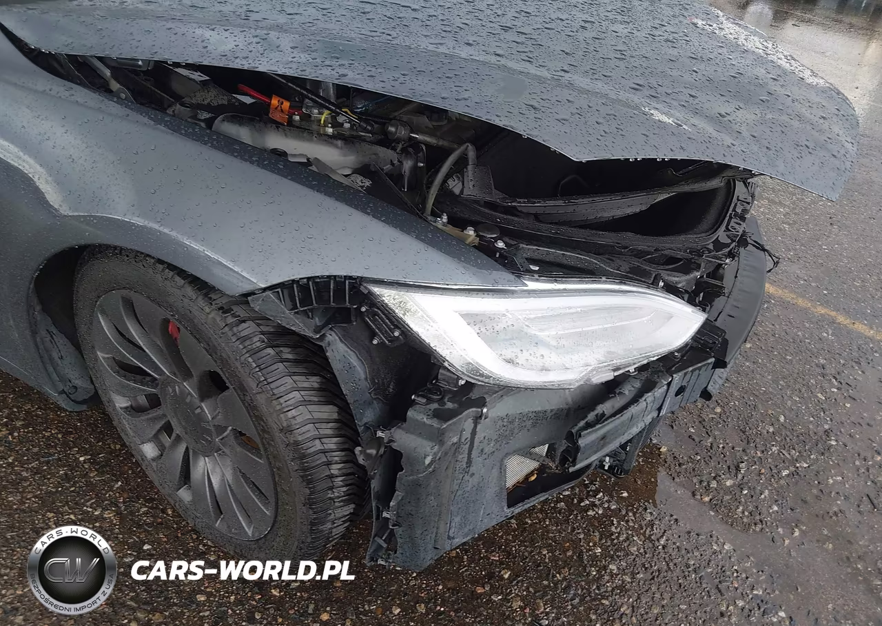 2019 Tesla Model S 100D-Long Range-P100D-Performance VIN:5YJSA1E49KF330781 - 20