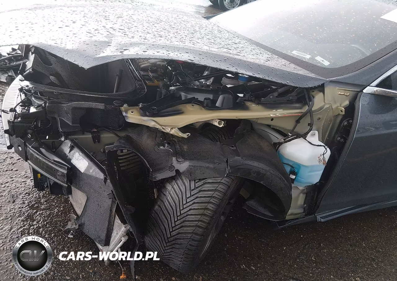 2019 Tesla Model S 100D-Long Range-P100D-Performance VIN:5YJSA1E49KF330781 - 23