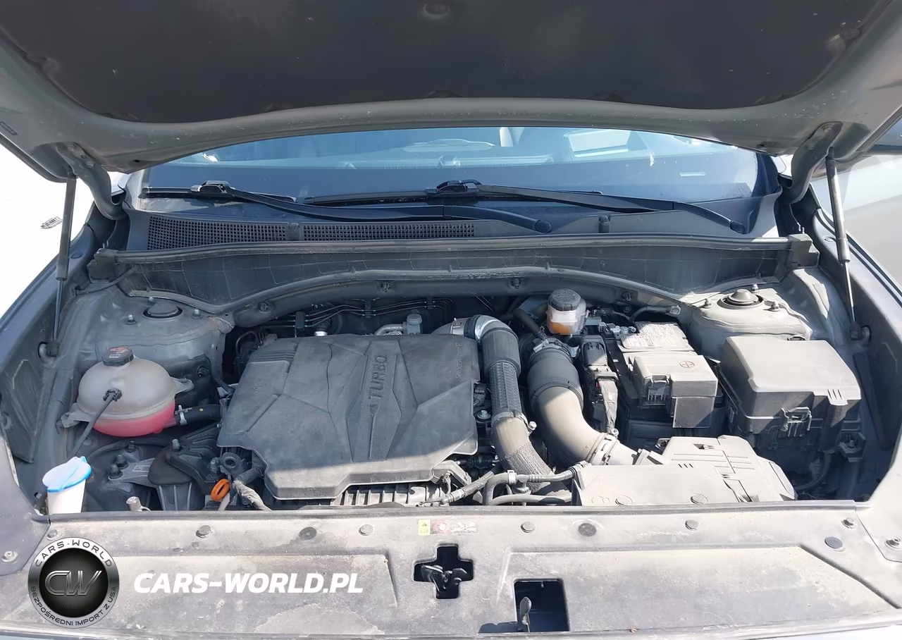 2023 Hyundai Santa Fe Calligraphy VIN:5NMS5DAL4PH637932 - 10