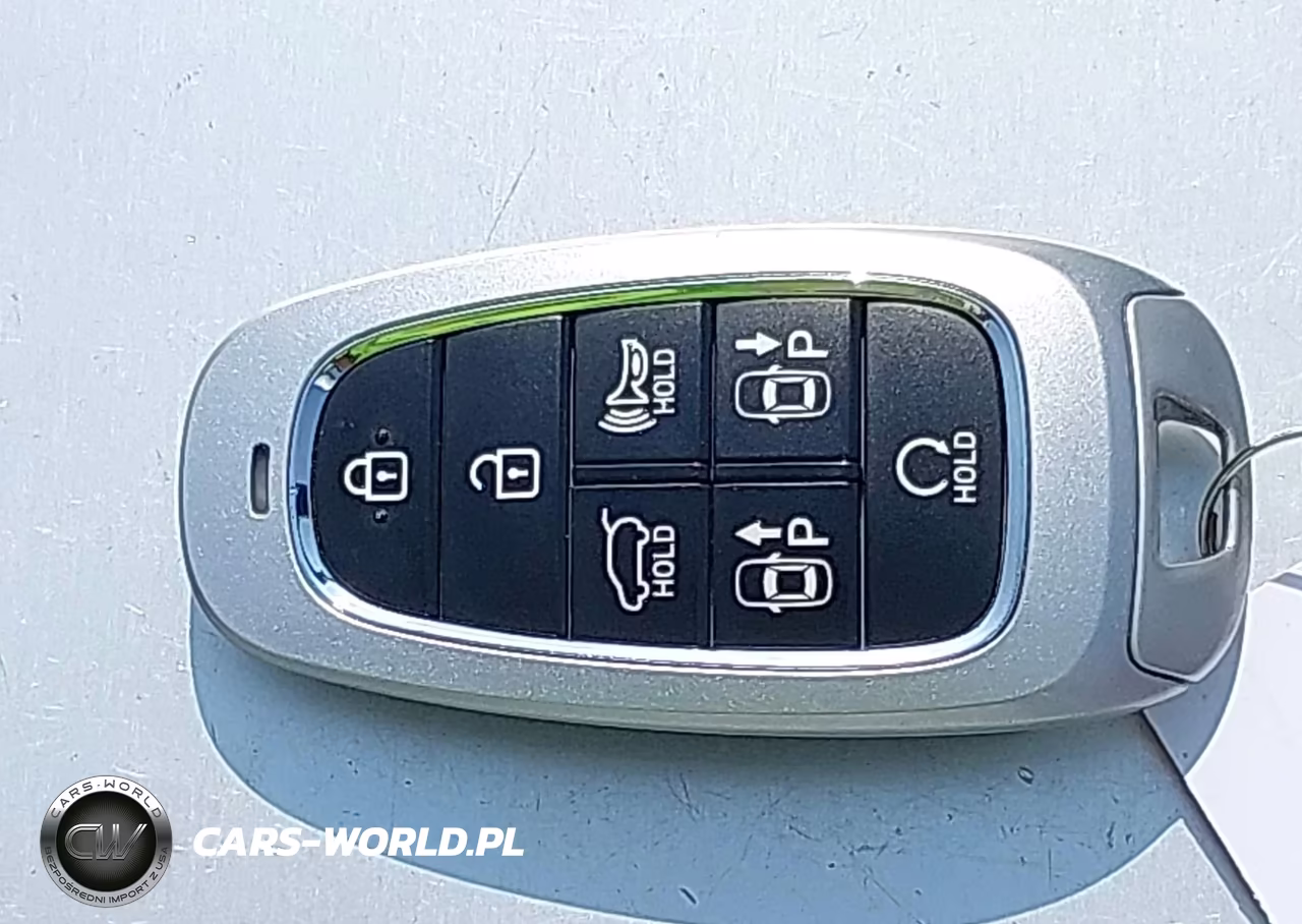 2023 Hyundai Santa Fe Calligraphy VIN:5NMS5DAL4PH637932 - 11