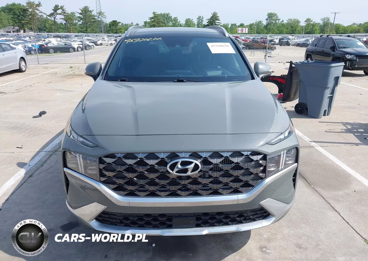 2023 Hyundai Santa Fe Calligraphy VIN:5NMS5DAL4PH637932 - 13