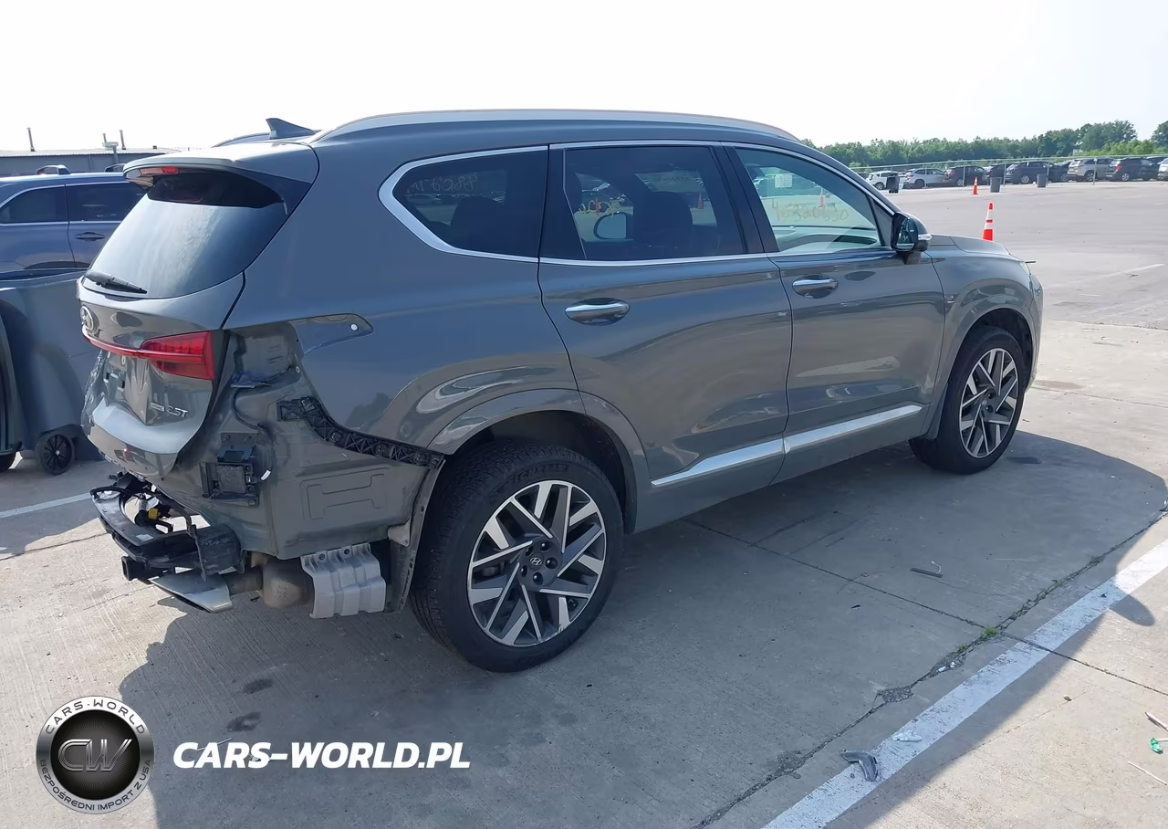 2023 Hyundai Santa Fe Calligraphy VIN:5NMS5DAL4PH637932 - 4