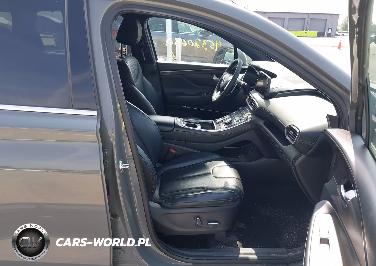 2023 Hyundai Santa Fe Calligraphy VIN:5NMS5DAL4PH637932 - 5