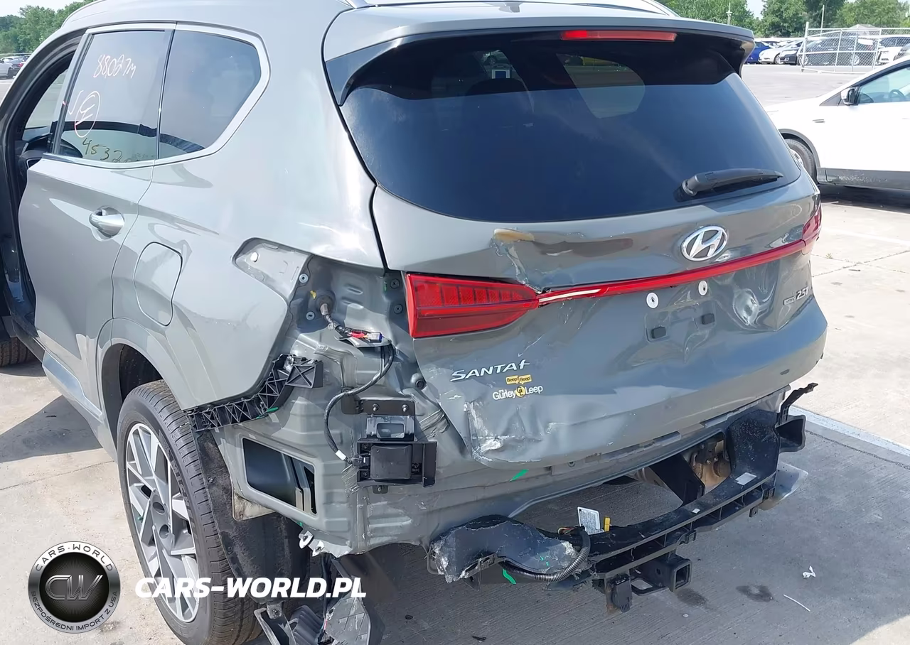 2023 Hyundai Santa Fe Calligraphy VIN:5NMS5DAL4PH637932 - 6