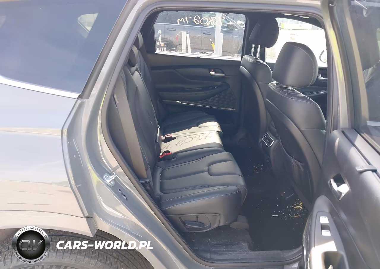 2023 Hyundai Santa Fe Calligraphy VIN:5NMS5DAL4PH637932 - 8