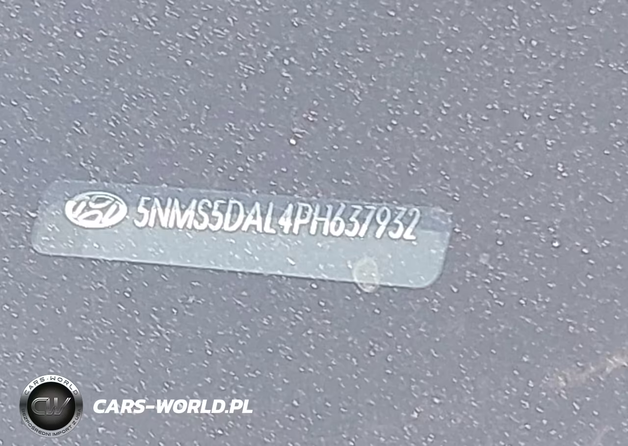 2023 Hyundai Santa Fe Calligraphy VIN:5NMS5DAL4PH637932 - 9