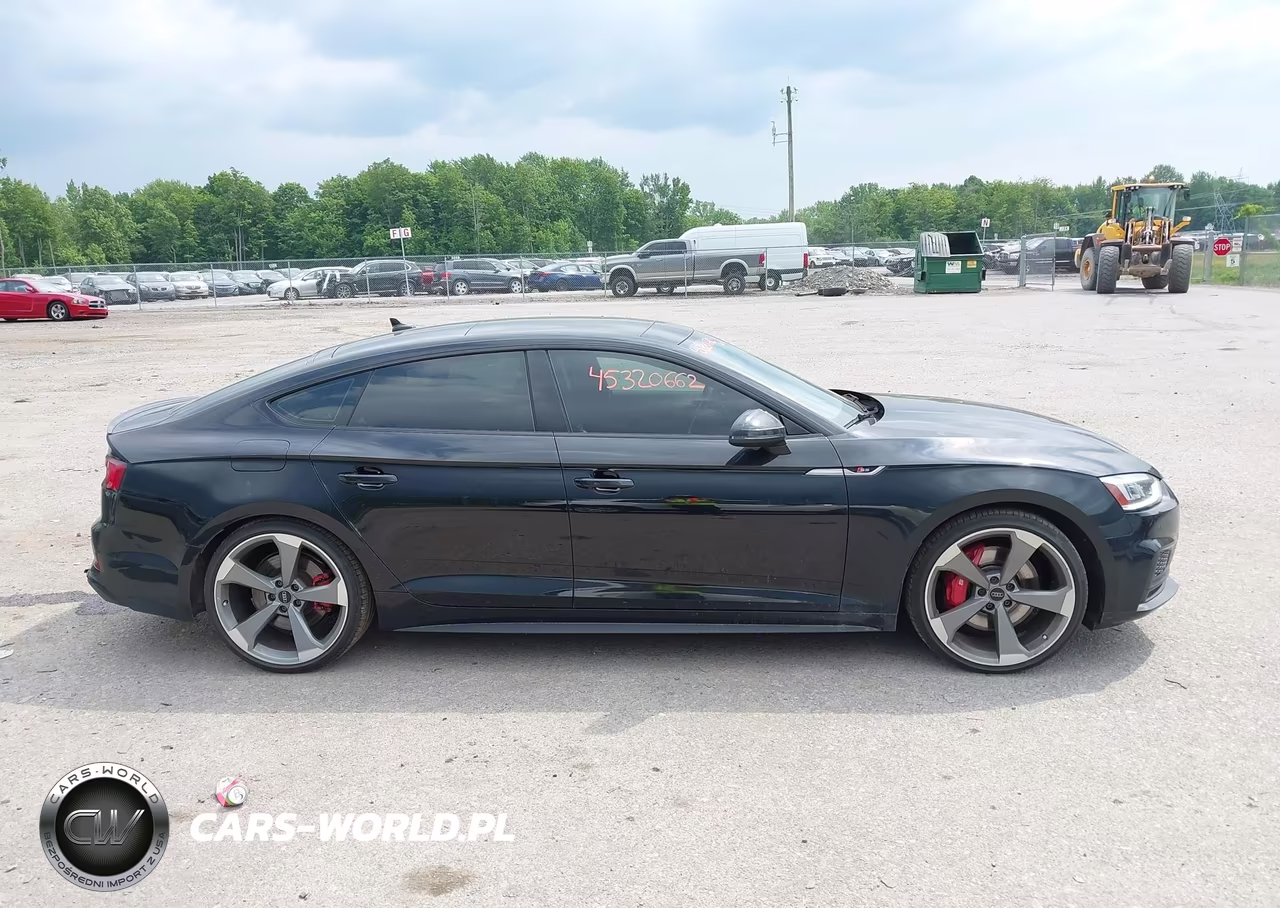2019 Audi S5 3.0T Premium VIN:WAUB4CF54KA064599 - 13