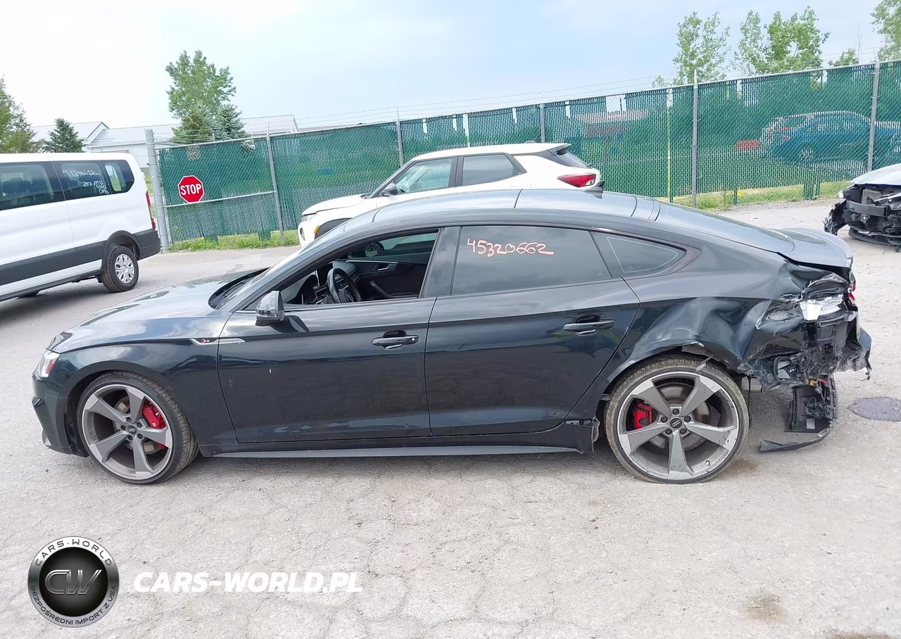 2019 Audi S5 3.0T Premium VIN:WAUB4CF54KA064599 - 14