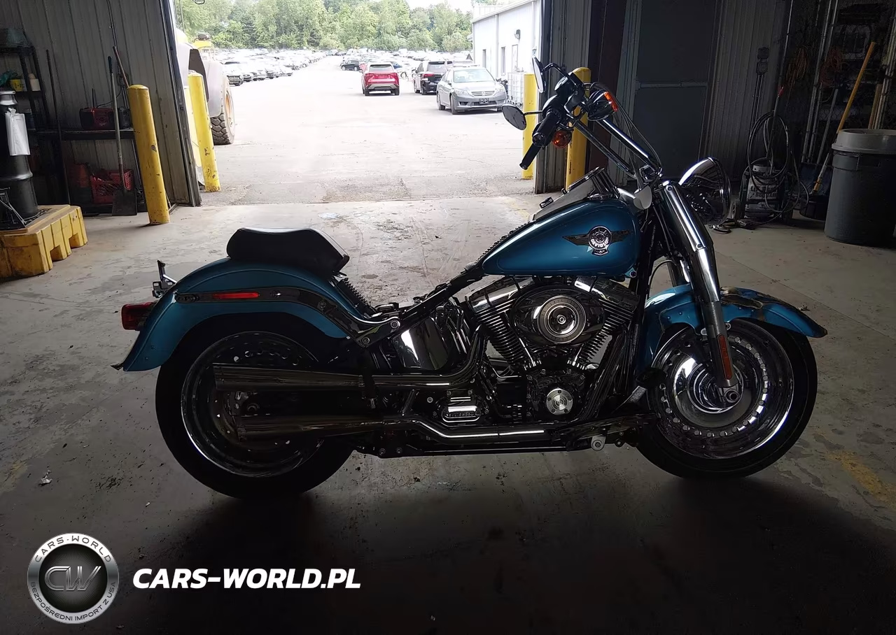 2011 Harley-Davidson Flstf VIN:1HD1BX515BB017293 - 11