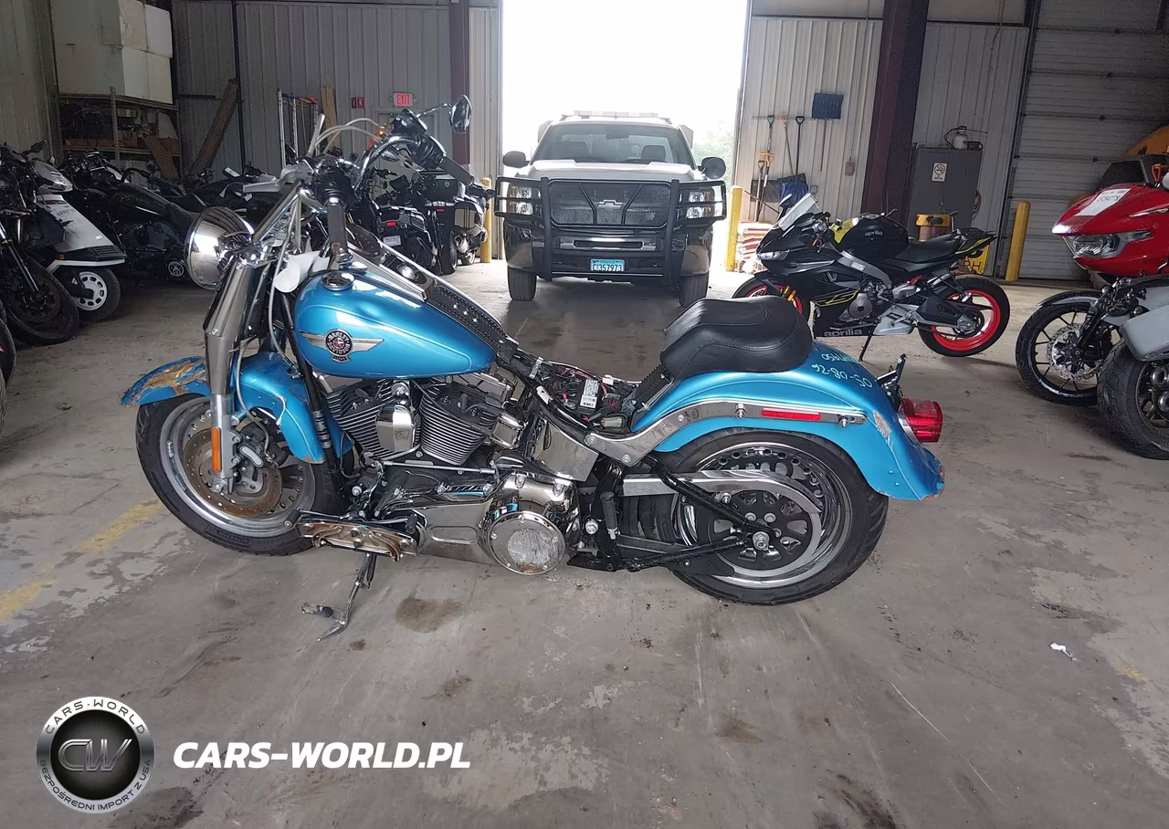 2011 Harley-Davidson Flstf VIN:1HD1BX515BB017293 - 12