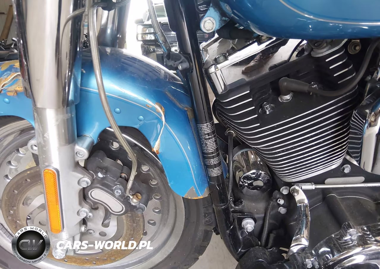 2011 Harley-Davidson Flstf VIN:1HD1BX515BB017293 - 17