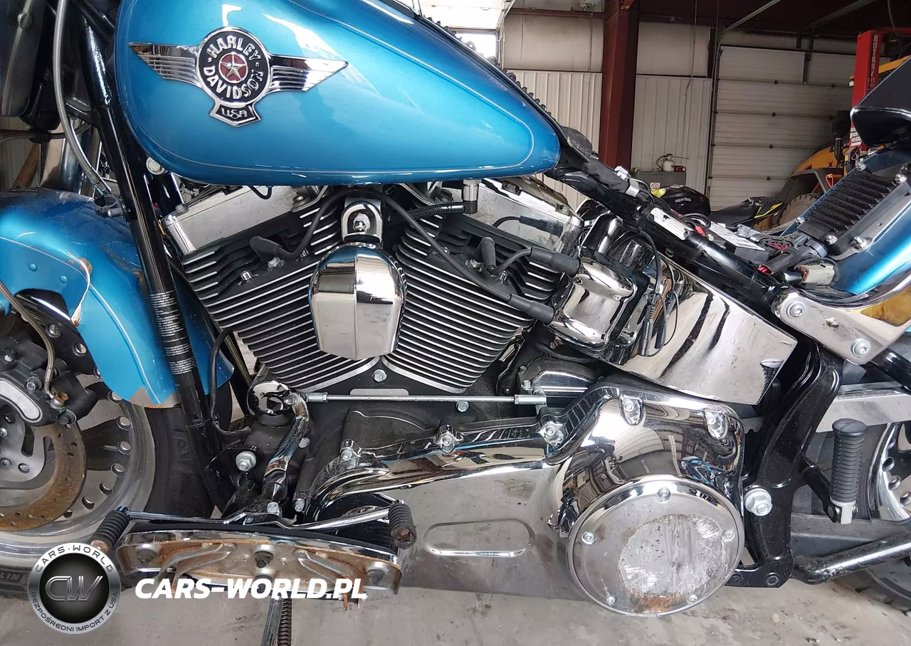 2011 Harley-Davidson Flstf VIN:1HD1BX515BB017293 - 9