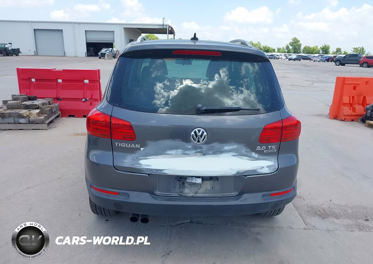 2013 Volkswagen Tiguan Se VIN:WVGBV3AX2DW623867 - 17