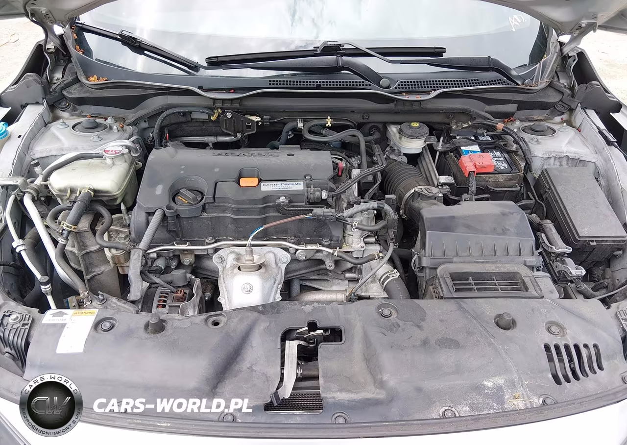 2019 Honda Civic Sport VIN:2HGFC2F88KH556020 - 10