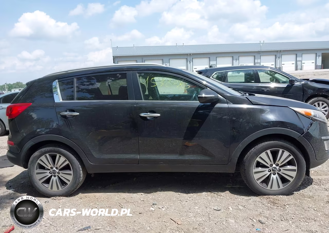 2015 Kia Sportage Ex VIN:KNDPC3AC8F7723725 - 13